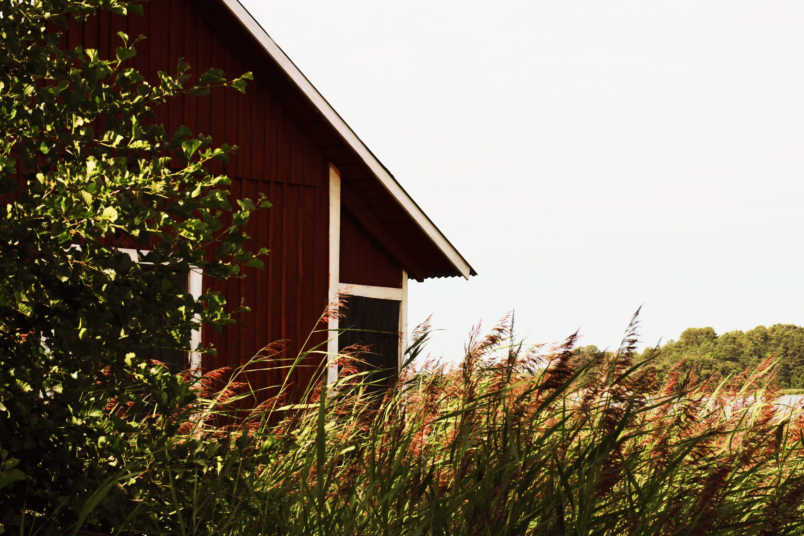 Details